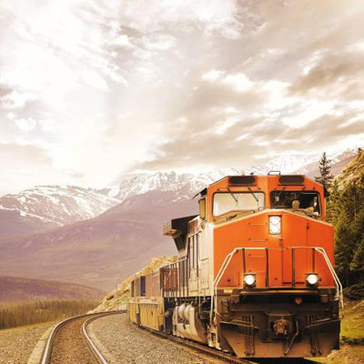 Railway container and bulk cargo